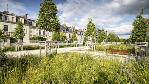 L’allée Jeanne-d’Arc, à Angers (49), entre tradition et innovation, figure au programme des visites du futur Vegetal Connect le 9 septembre. ©Destination Angers